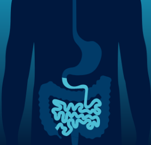 Gastric and Small Bowel Function Testing