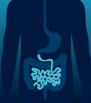 Gastric and Small Bowel Function Testing